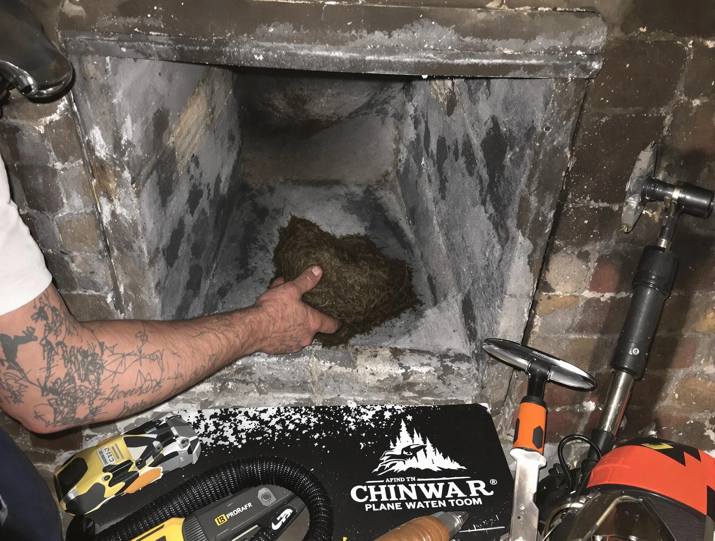 Edgewater Chimney Sweep safely removing debris and screening chimney in Edgewater, CO